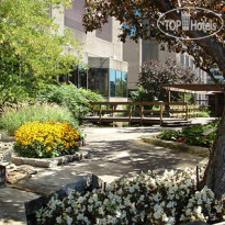 DoubleTree by Hilton Montreal Downtown 