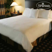 Homewood Suites by Hilton Toronto Airport Corporate Centre 