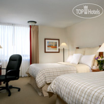 Four Points by Sheraton Toronto Airport 