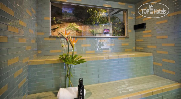 New photos from tourists Crest Hotel 4*