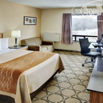 Comfort Inn Waterloo 