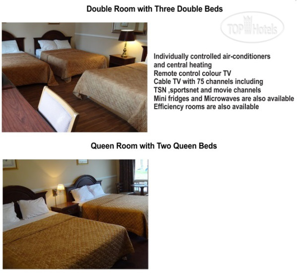 New photos from tourists Falcon Inn 2*