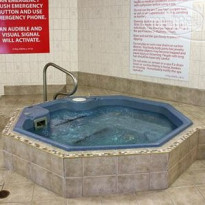 Clarion Resort Pinewood Park