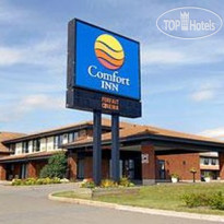 Comfort Inn Airport East