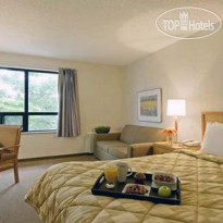 Comfort Inn Airport East