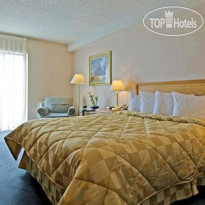Comfort Inn Airport East