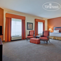 Holiday Inn Express & Suites Airport - Calgary Jacuzzi Suite Fireplace
