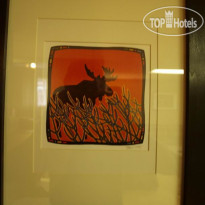 The Moose Haven Suite 