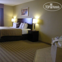 Best Western Rocky Mountain House Inn & Suites 