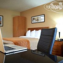 Comfort Inn Brandon
