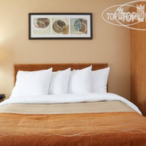 Comfort Inn Brandon