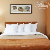 Comfort Inn Prince Albert