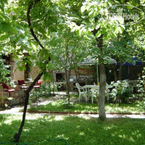 Victoria Royal Hotel 