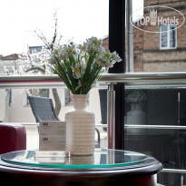 Urban Boutique Hotel 