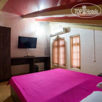 Neighbors Hostel