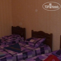 Olga Hostel