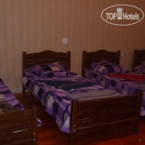 Olga Hostel
