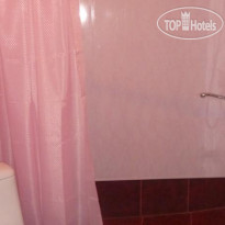 Olga Hostel