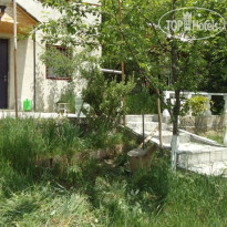 Tbilisi Georgia Guest House
