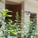 Orbeliani Guest House 