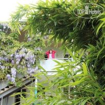 Natali Guest House