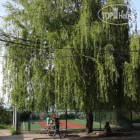 The Upper Garden Guesthouse 