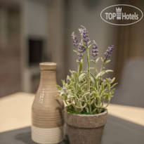 Easy Hotel Tbilisi