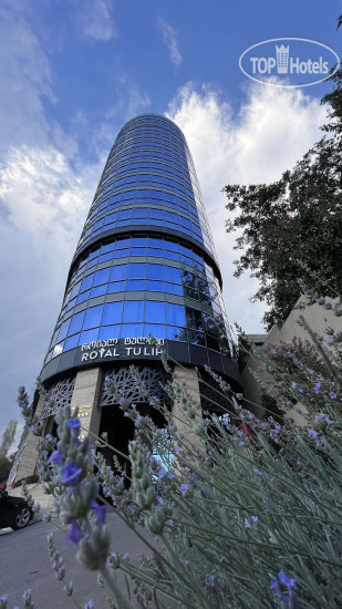 Hotelier's photos Royal Tulip Hotel & Casino 5*