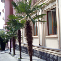 Danissimo