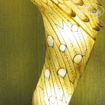 Pavo 