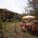 Bagrati Guest House 