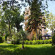Riva Hotel 