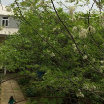 Mari Guest House