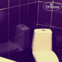 Alex Hotel