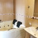 Mgzavrebi Apartments Batumi 