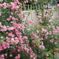 Lira Guest House 