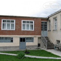 Терги
