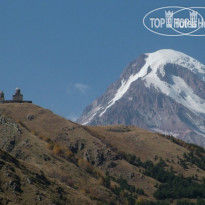 Терги
