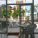 Hotel Aurora 
