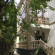 Karakum 