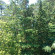 Paradise 