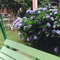 Smile Guest House 