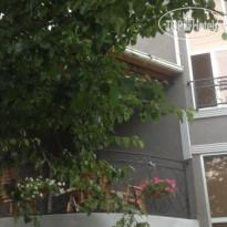 Smile Guest House 