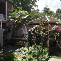 Nia Guest House