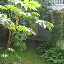 Nia Guest House