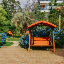 Dreamland Oasis Chakvi