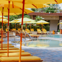 Dreamland Oasis Chakvi