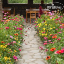 Mate Guest House