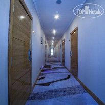 Absolute Hotel