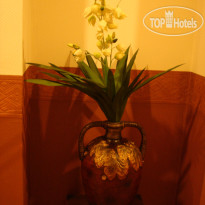 Салем Достык 